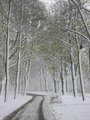 Promenade im schnee.jpg